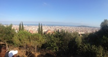 The city from the top of Parc Güell